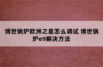 博世锅炉欧洲之星怎么调试 博世锅炉e9解决方法